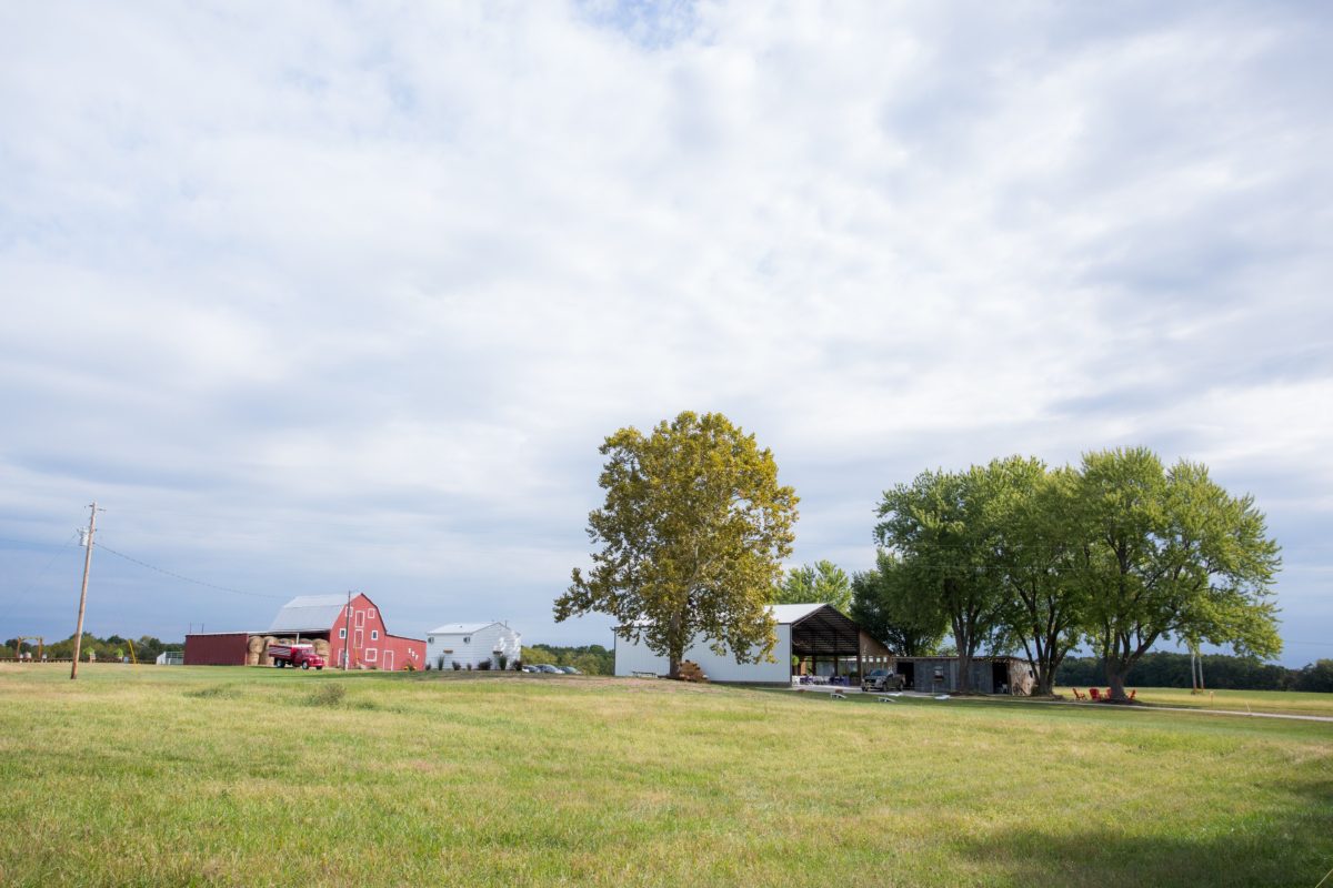 Gallery - Sweet Clover Farm