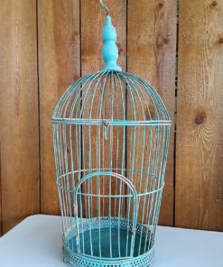 blue bird cage