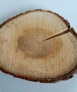 Wood Disc 10.5 inch